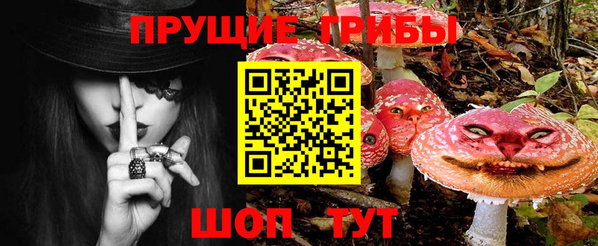 Псилоцибиновые грибы Cubensis  Галлюциногенные грибы мицелий  Пугачёв  Вход с VPN 