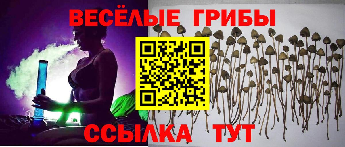 Псилоцибиновые грибы Magic Shrooms Пугачёв